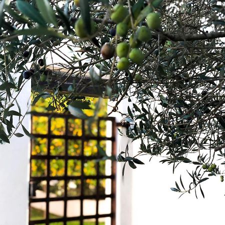 Hotel Mas Le Sauvageon Saintes-Maries-de-la-Mer Zewnętrze zdjęcie