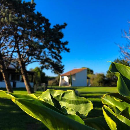 Hotel Mas Le Sauvageon Saintes-Maries-de-la-Mer Zewnętrze zdjęcie